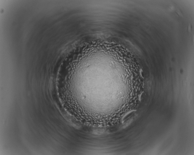 X0000086270757200704051309