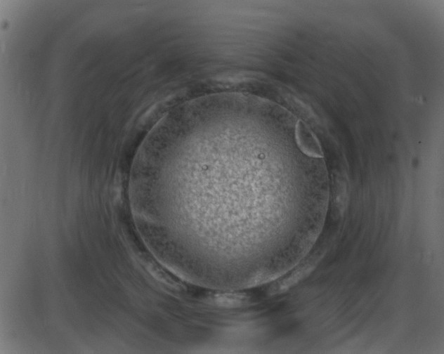 X0000086270758200704051309