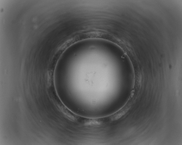 X0000086270759200704051309