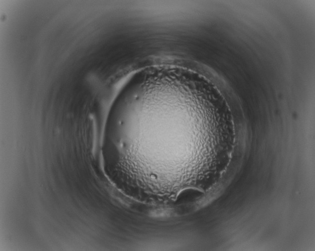 X0000086270761200704051309