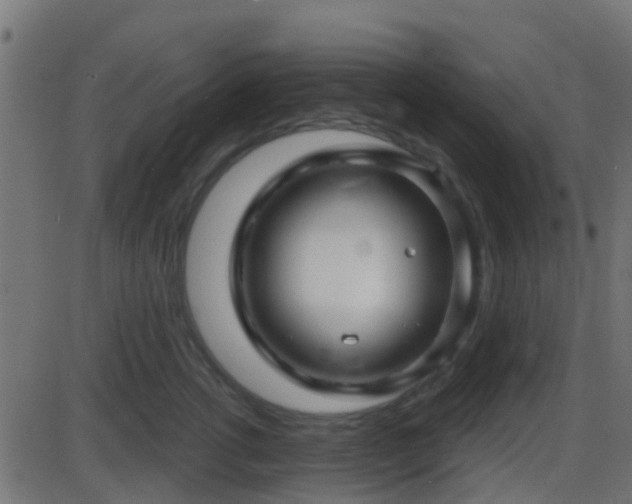 X0000086270762200704051309