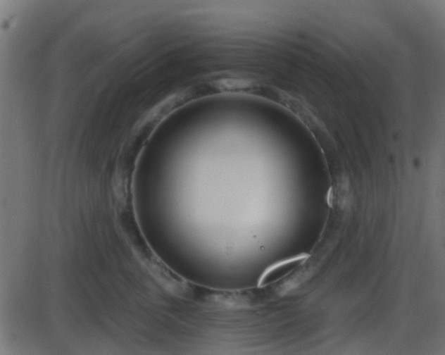 X0000086270763200704051309