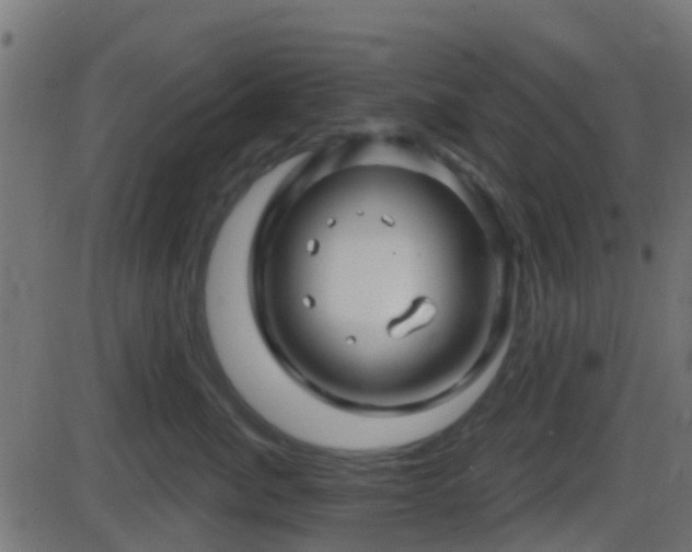 X0000086270764200704051309