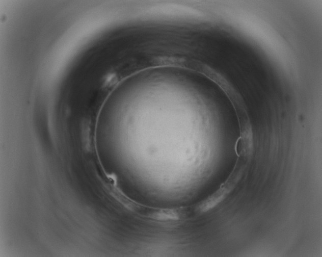 X0000086270765200704051309