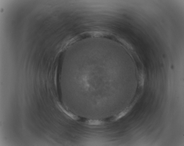 X0000086270766200704051309