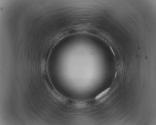 X0000086270767200704051309