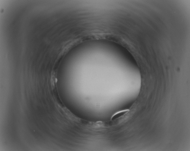 X0000086270768200704051309