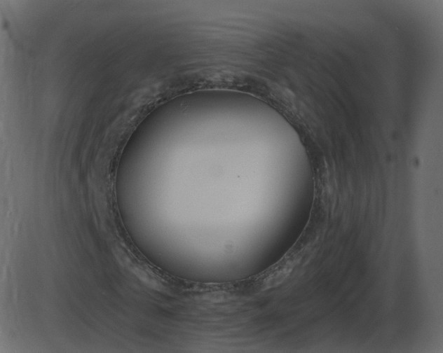 X0000086270769200704051308