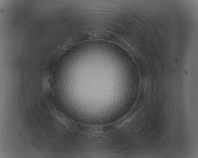 X0000086270770200704051308