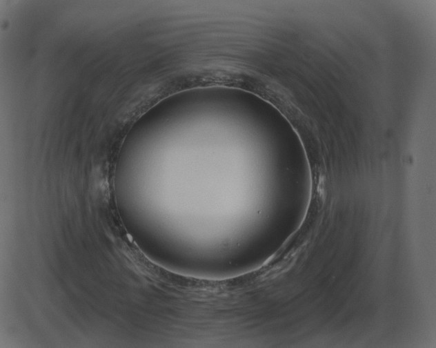 X0000086270771200704051308