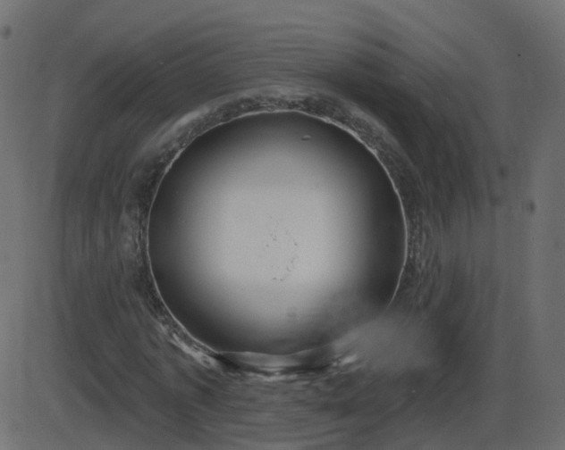 X0000086270773200704051308