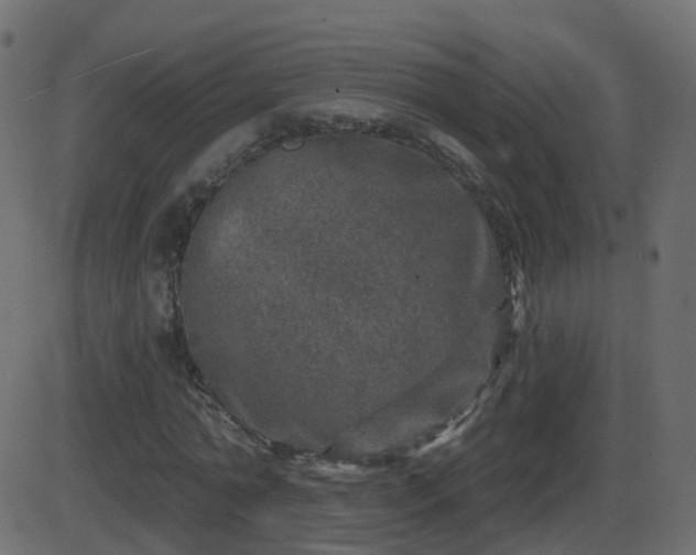 X0000086270774200704051308