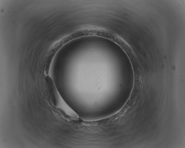 X0000086270775200704051308