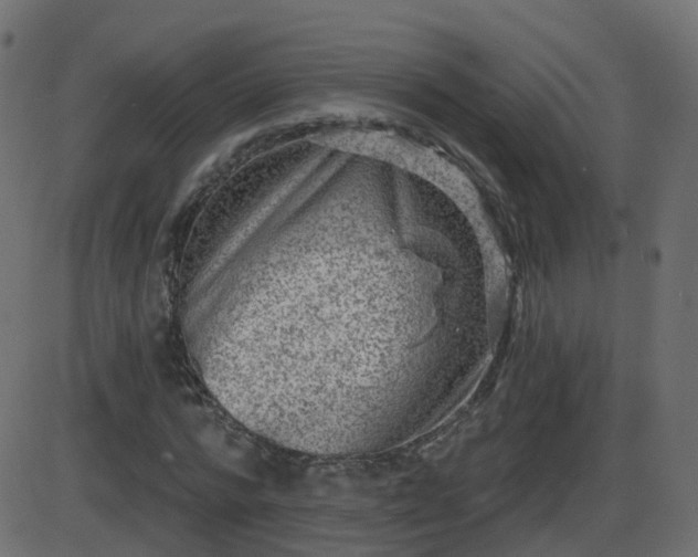 X0000086270776200704051308