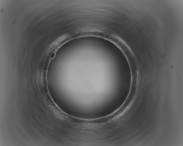 X0000086270777200704051308