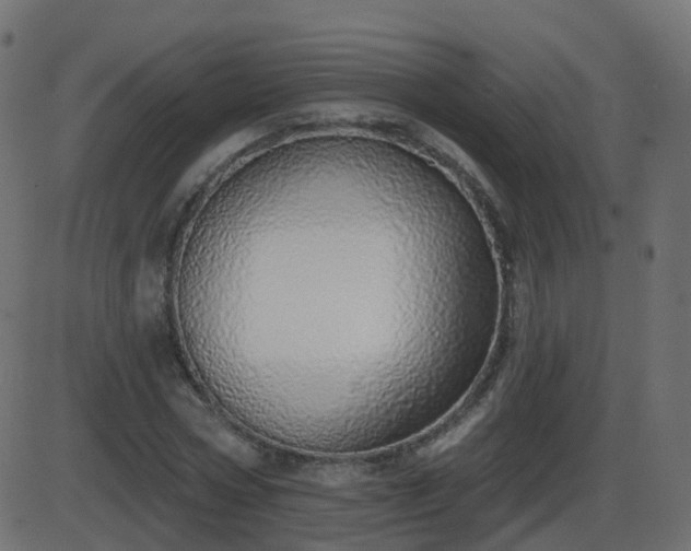 X0000086270778200704051308