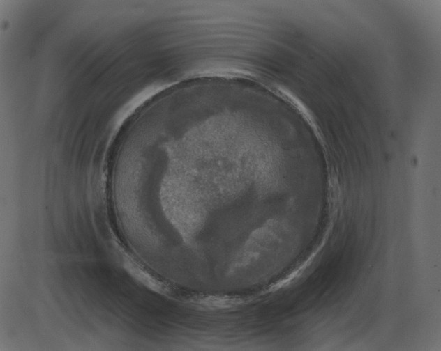 X0000086270779200704051308