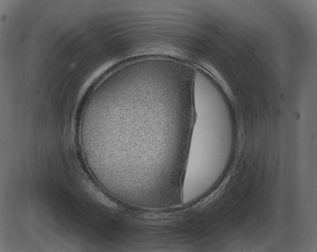 X0000086270780200704051308