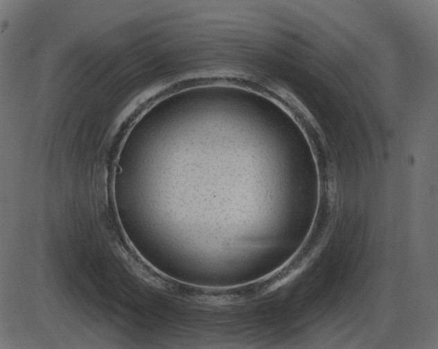 X0000086270781200704051308