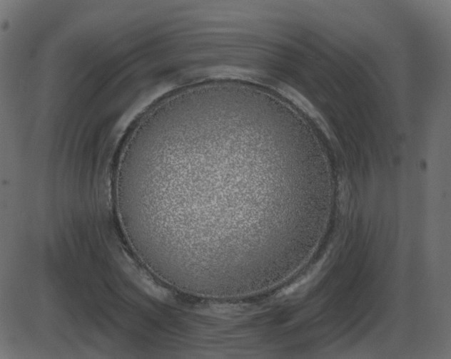 X0000086270782200704051308