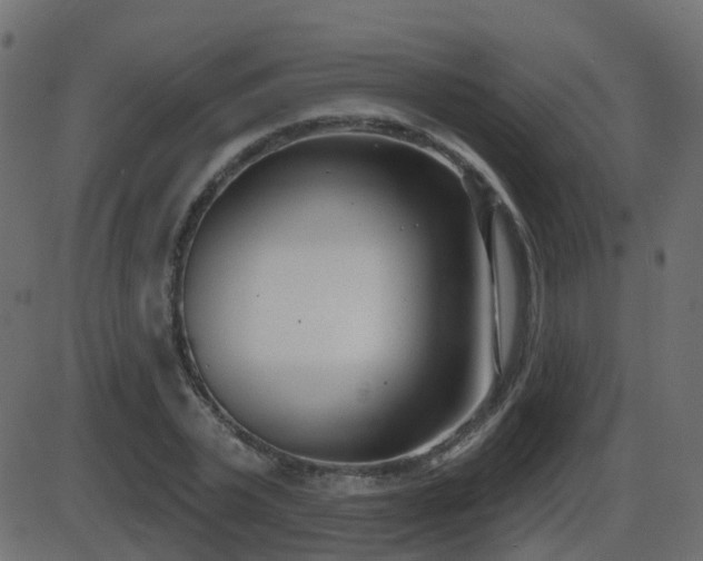 X0000086270783200704051308