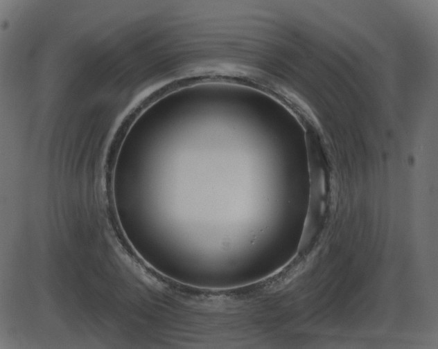 X0000086270784200704051308