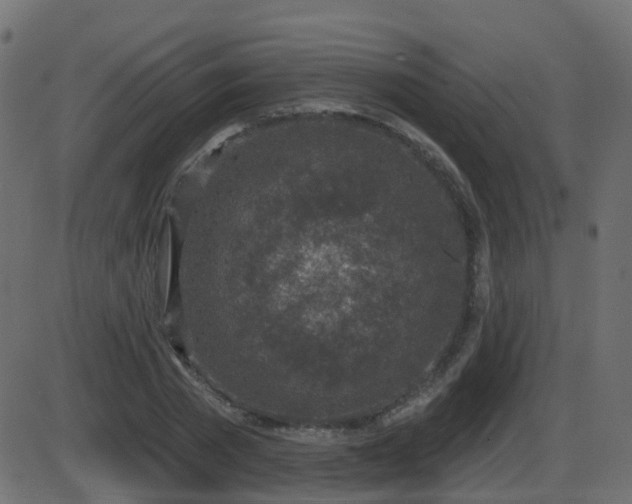 X0000086270785200704051308