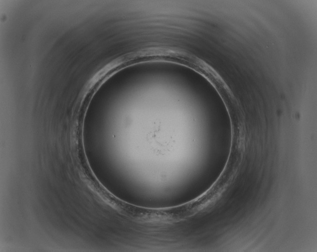 X0000086270786200704051308