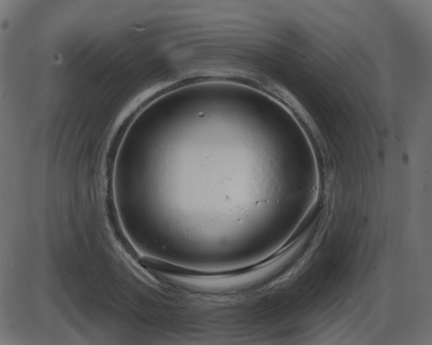 X0000086270787200704051308