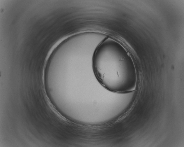 X0000086270788200704051308