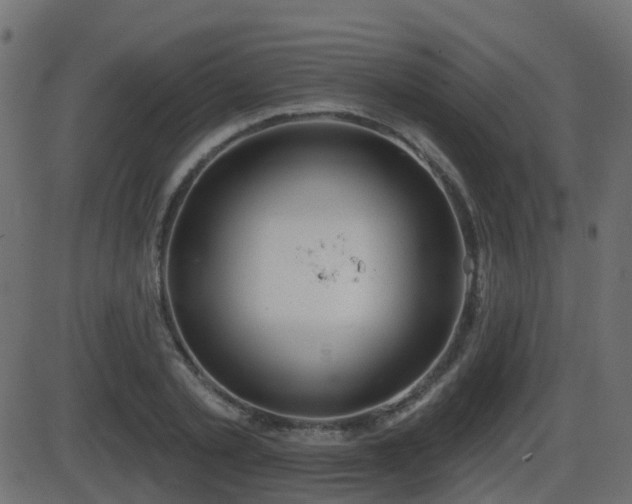 X0000086270789200704051308