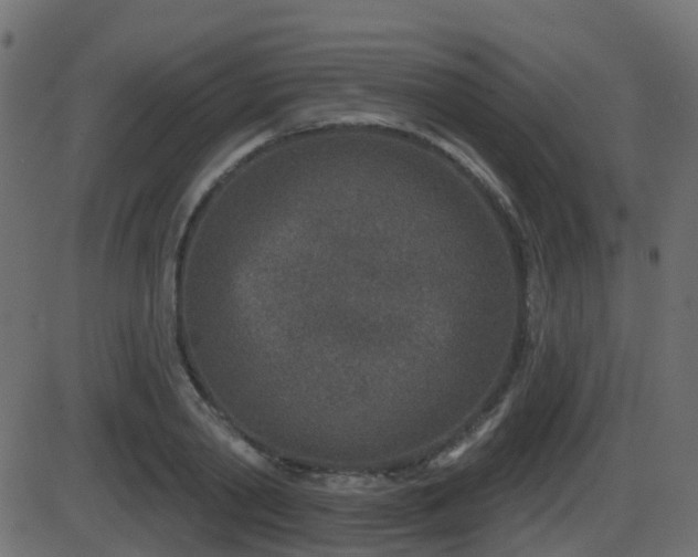 X0000086270790200704051308