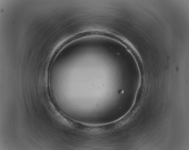 X0000086270791200704051308