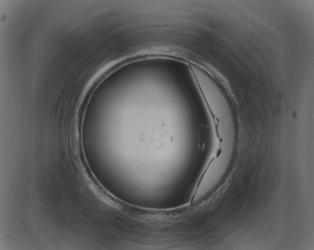 X0000086270792200704051308