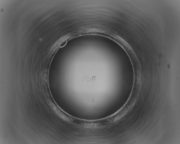 X0000086270793200704051308