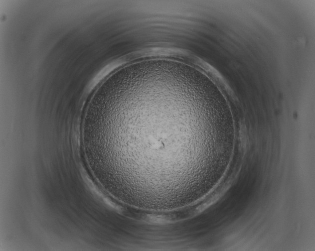 X0000086270794200704051308