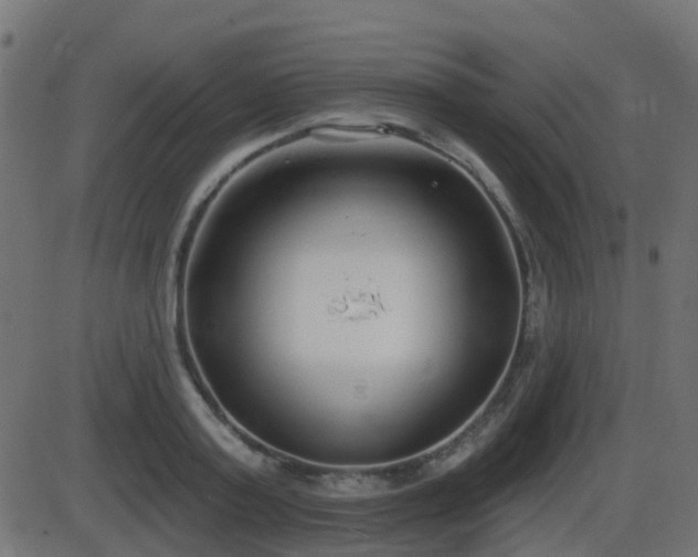 X0000086270795200704051308