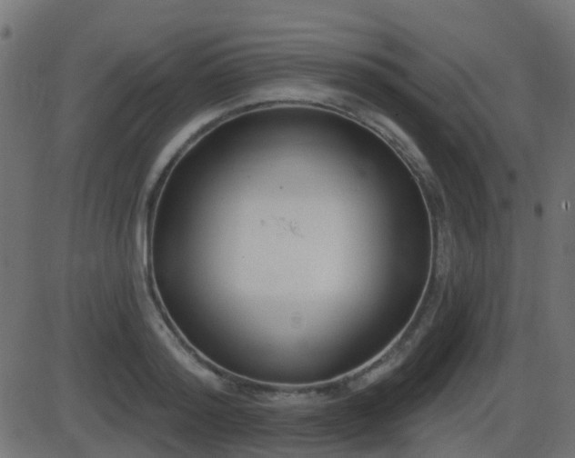 X0000086270796200704051308