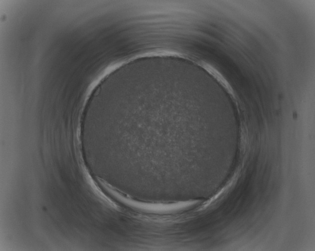 X0000086270797200704051308