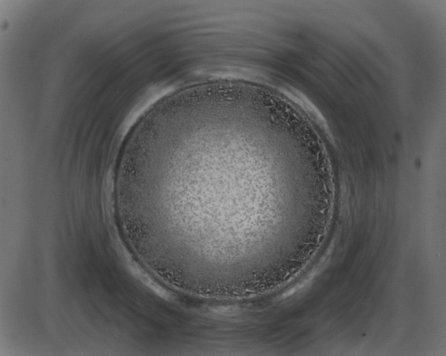 X0000086270798200704051308