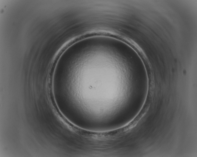 X0000086270799200704051308