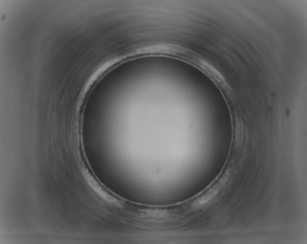 X0000086270800200704051308