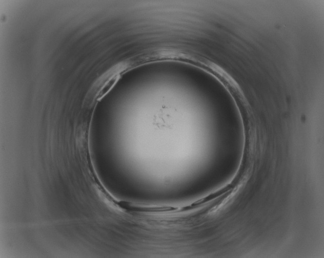 X0000086270801200704051308