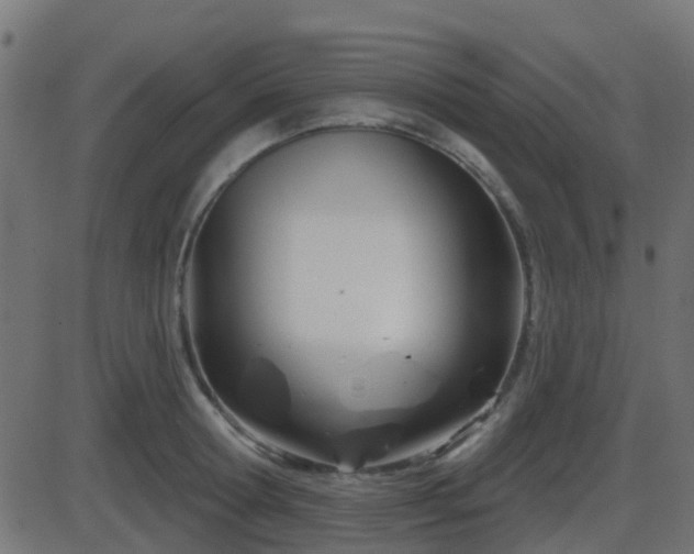 X0000086270802200704051308