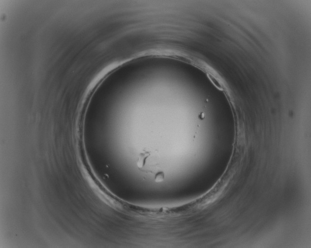 X0000086270803200704051308