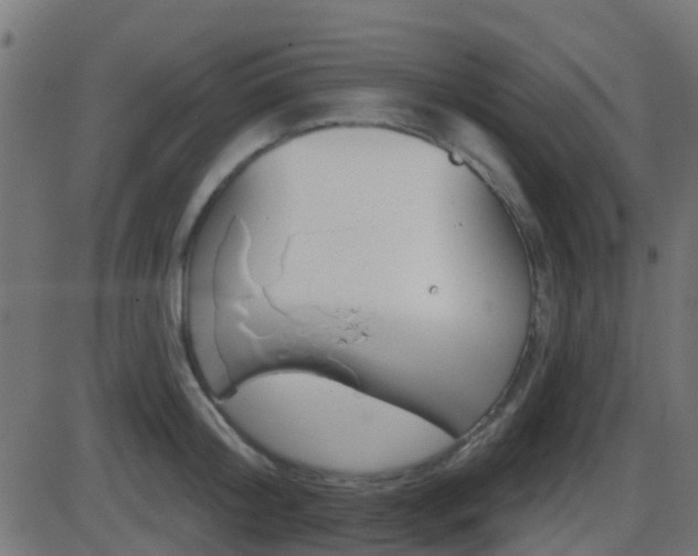 X0000086270804200704051308