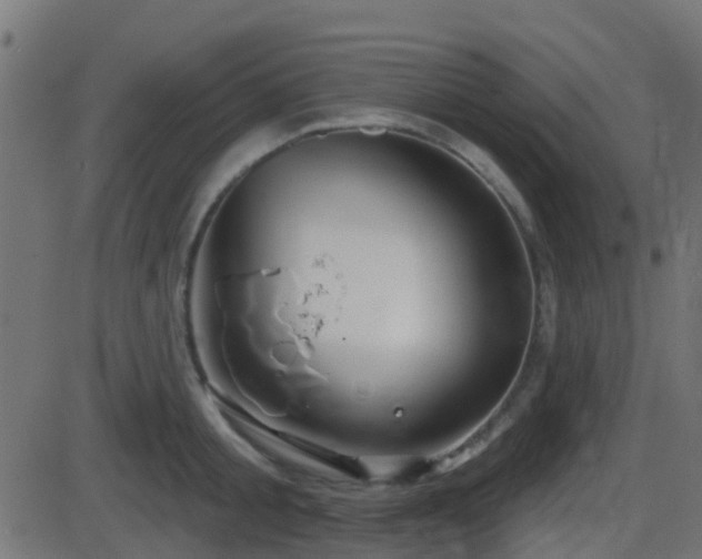 X0000086270805200704051308