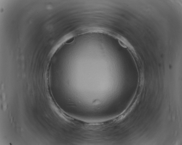 X0000086270806200704051308