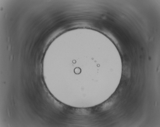 X0000086270807200704051308