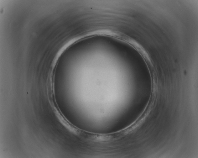 X0000086270808200704051308